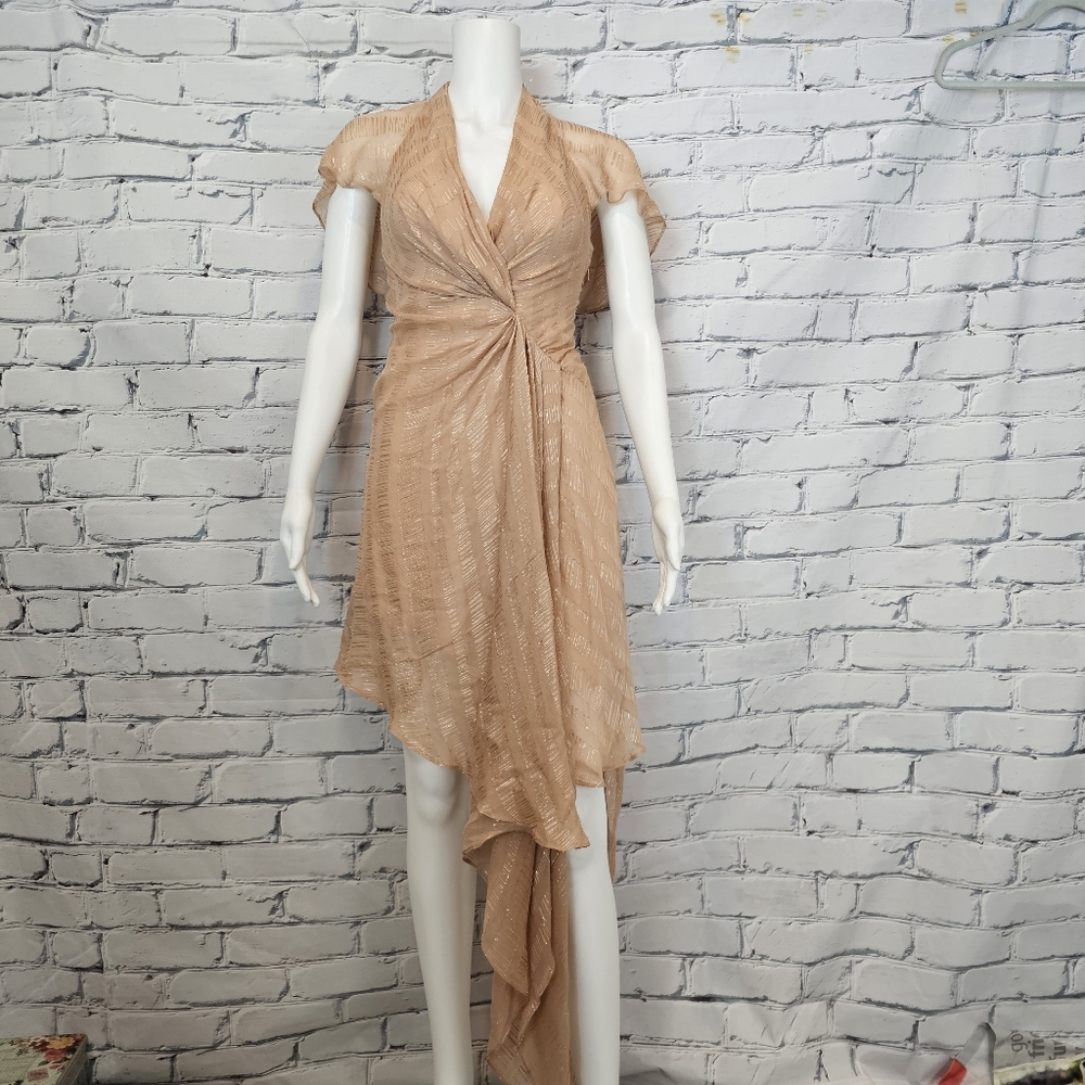 Ronny Kobo Silk Metallic Dress